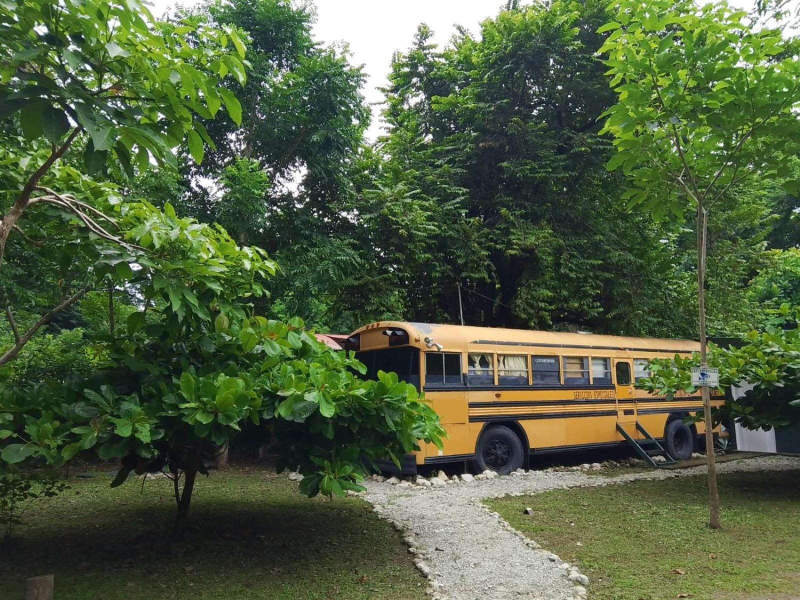 Nanku Nimbu Casa-Bus Equipada Cerca De Playas Lejlighed Sámara Eksteriør billede