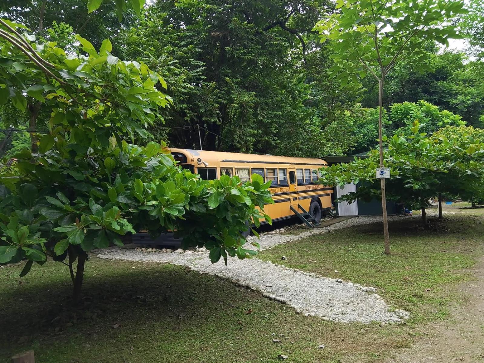 Nanku Nimbu Casa-Bus Equipada Cerca De Playas Lejlighed Sámara Eksteriør billede
